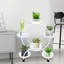 Jardinière Campisano-660658603