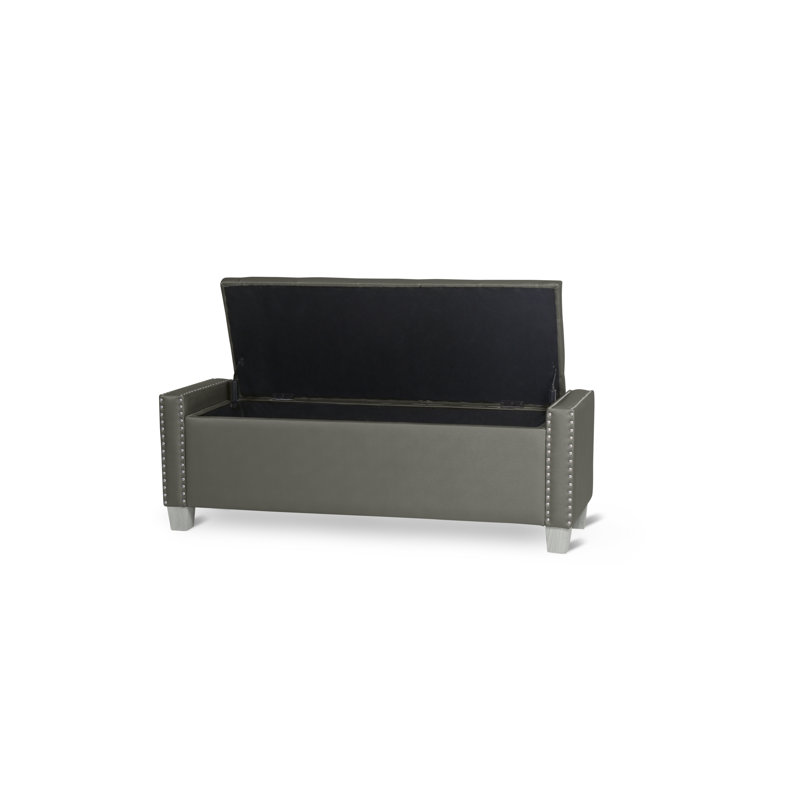 Thecle Upholstered Storage Bench, Dark Grey