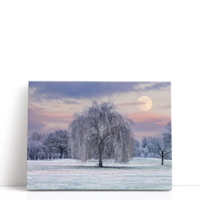 Tree Covered In Frost - Canvas Print Wall Art