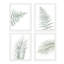 «Green Washed Out Forest Fern Palm Leaf», impression sur papier 4 pièces-93012030-93012032
