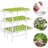 Boshen Growing Kit