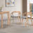 Avanti Mid-Century Solid Wood Arm Dining Chair with Curved Backrest (Set of 2)-1699727259