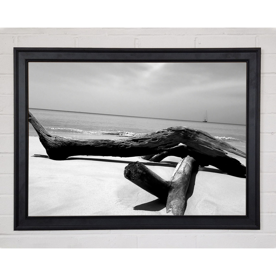 Gerahmtes Leinwandbild Ocean Drift Wood On The Shore B N W