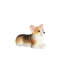 Ensemble de 5 figurines de 5 petits chiots Corgi