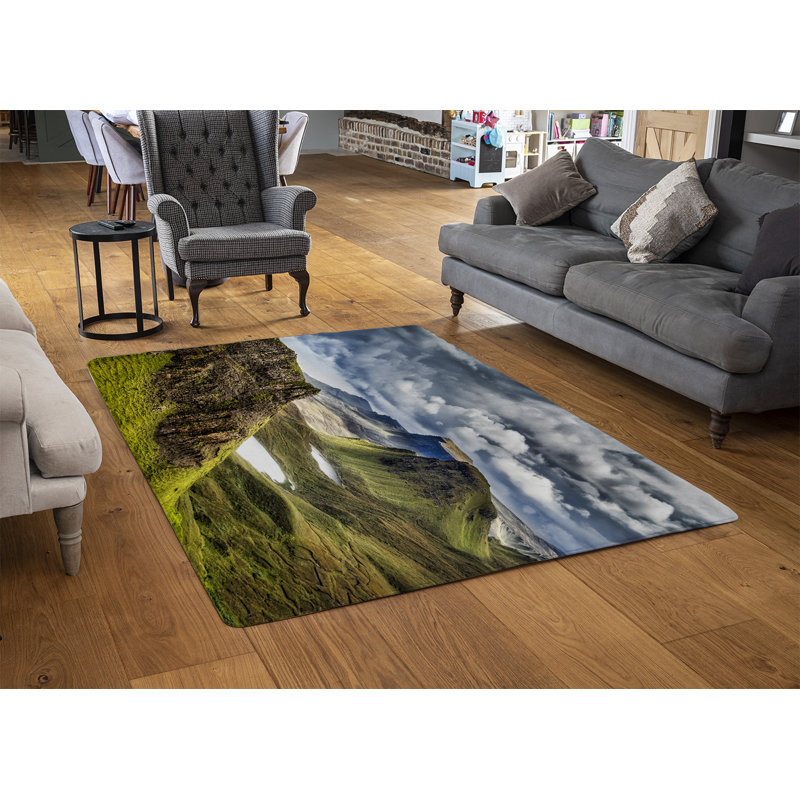 Jacob-Lee Shag Area Rug, Rectangle 60 x 110cm