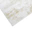 Collins Area Rug in Ivory-1335158415