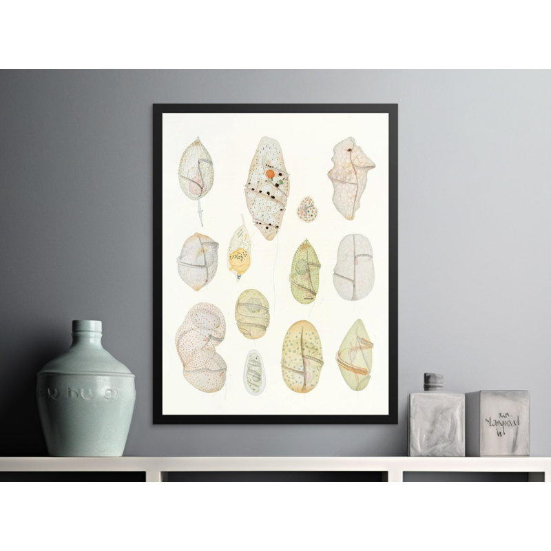 No Frame Print, 16x24