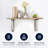 Rae Shelf Bracket