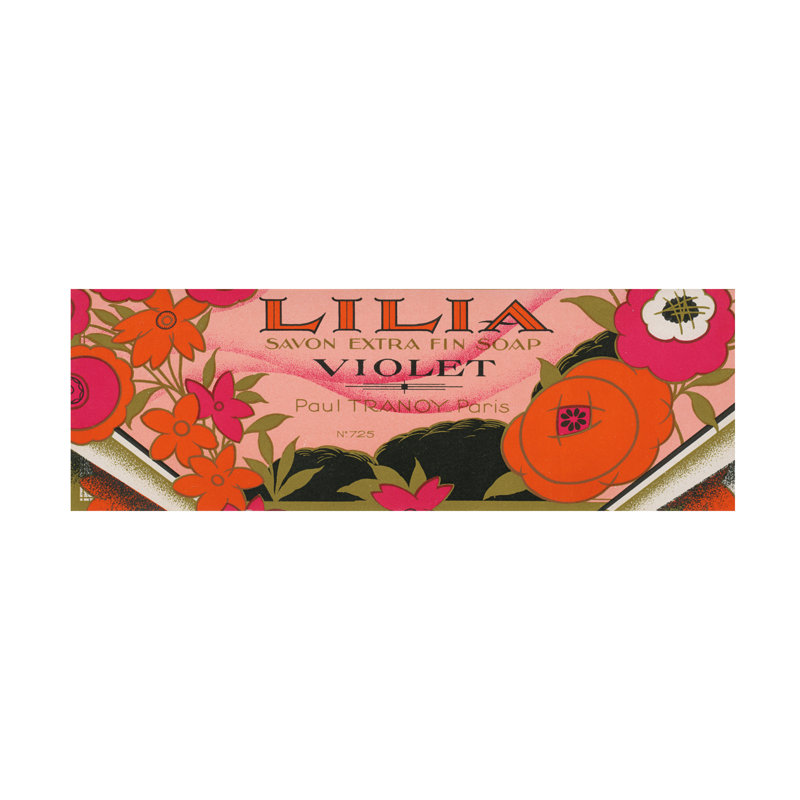 Art sur toile «Wild Apple Portfolio», H 10 po x l 32 po x P 2 po