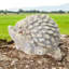 Animals Concrete / Cement Garden Statue-586161575