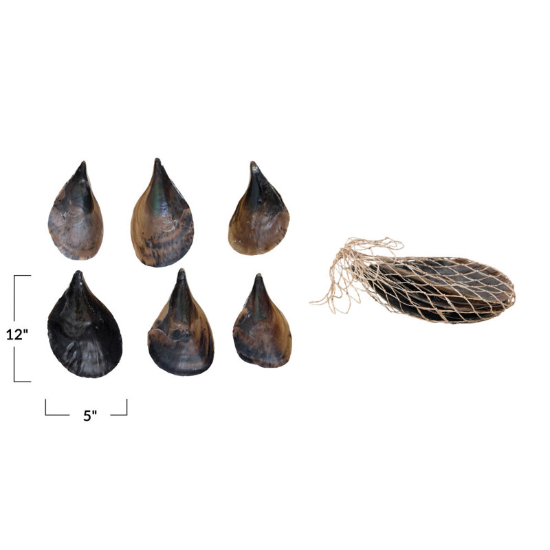 Pen Clam Shells in Bag
