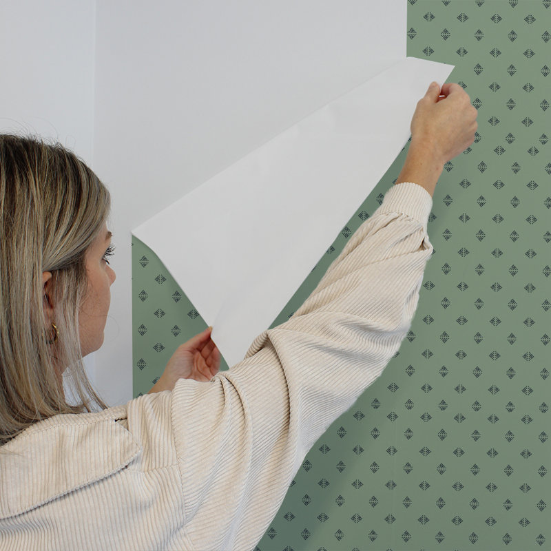 Rouleau de papier peint adhésif lisse L 16,5 pi x l 20,5 po Hockney, Thé vert