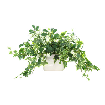 Variegated Ivy and Budding Stems in Ceramic Vase