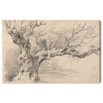 Old Oak Tree Canvas Vintage Illustration by Art Remedy