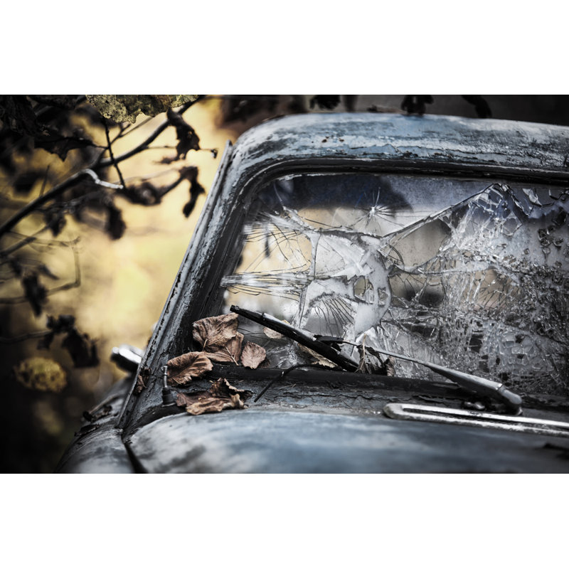 Wrapped Canvas Print, 50.8 cm H x 76.2 cm W