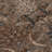 Chayil Machine Washable Indoor/Outdoor Rug-109483872