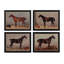 English Riding Horses Framed Print