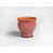 Pink/Orange
