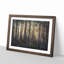 Pine Tree Forest In Spring - Single Picture Frame Print on MDF-56704686-56704687