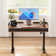Marshun 48'' W Height Adjustable Rectangle Electric Standing Computer Desk  Home Office Desk with Drawers