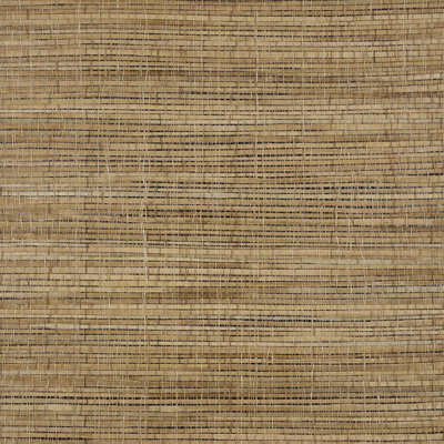 Palm Weave Wallpaper