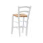 Raegan Counter Stool with Solid Wood Frame-989602889-989602888