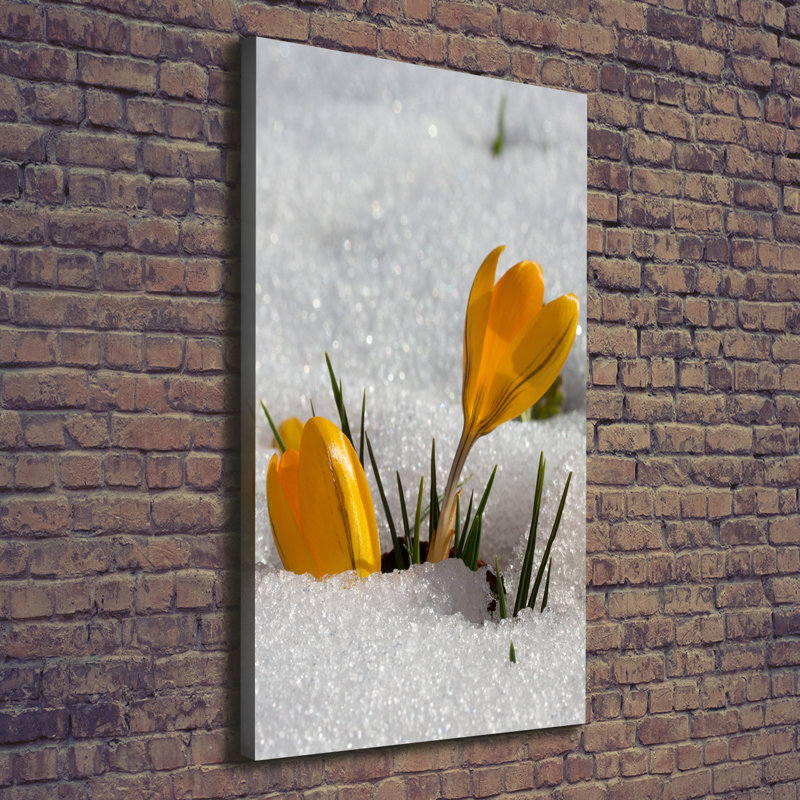Yellow Crocuses - Wrapped Canvas Print