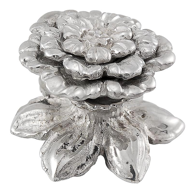 Carlotta Novelty Knob, Polished Nickel