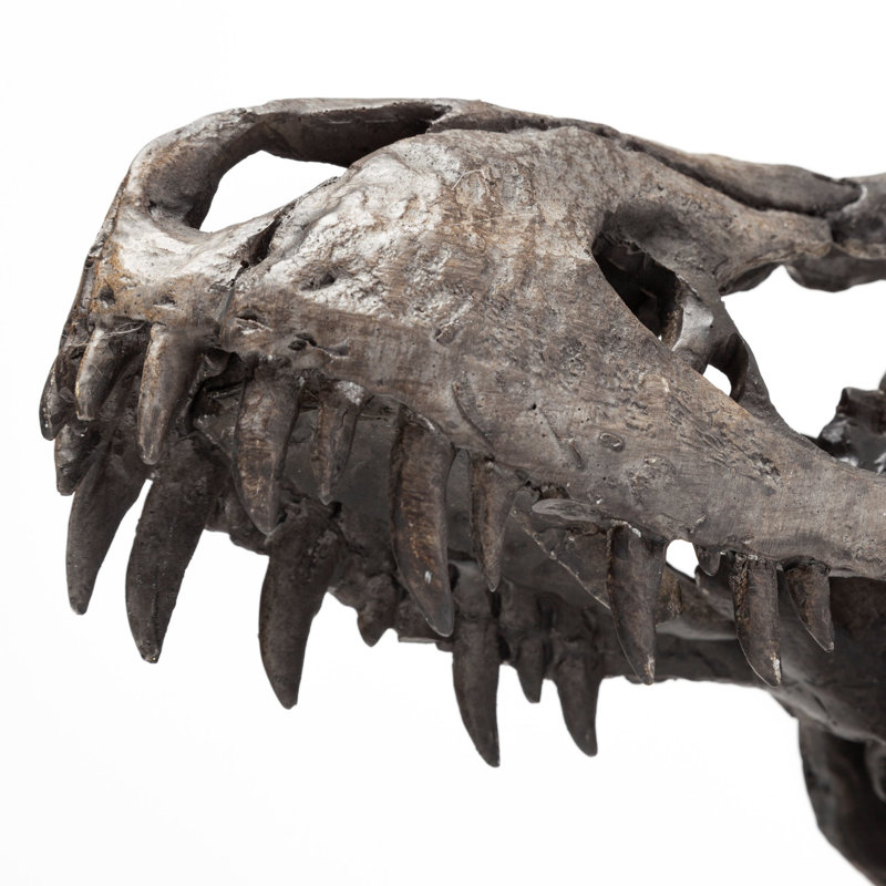 Altura Animals Bust