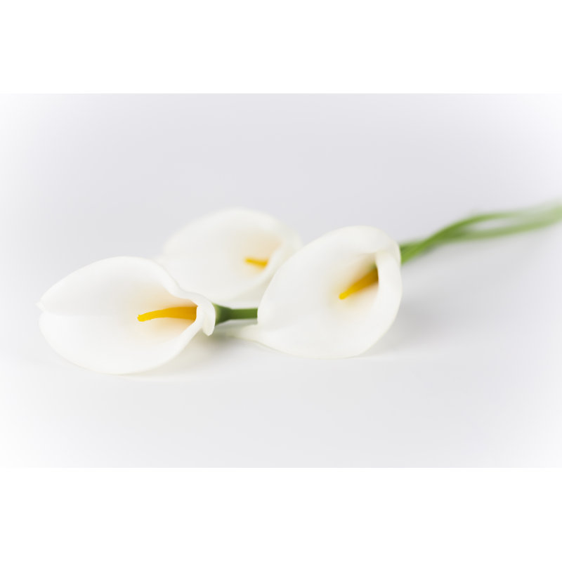 Calla Lily par Honglouwawa, H 20 po x l 30 po