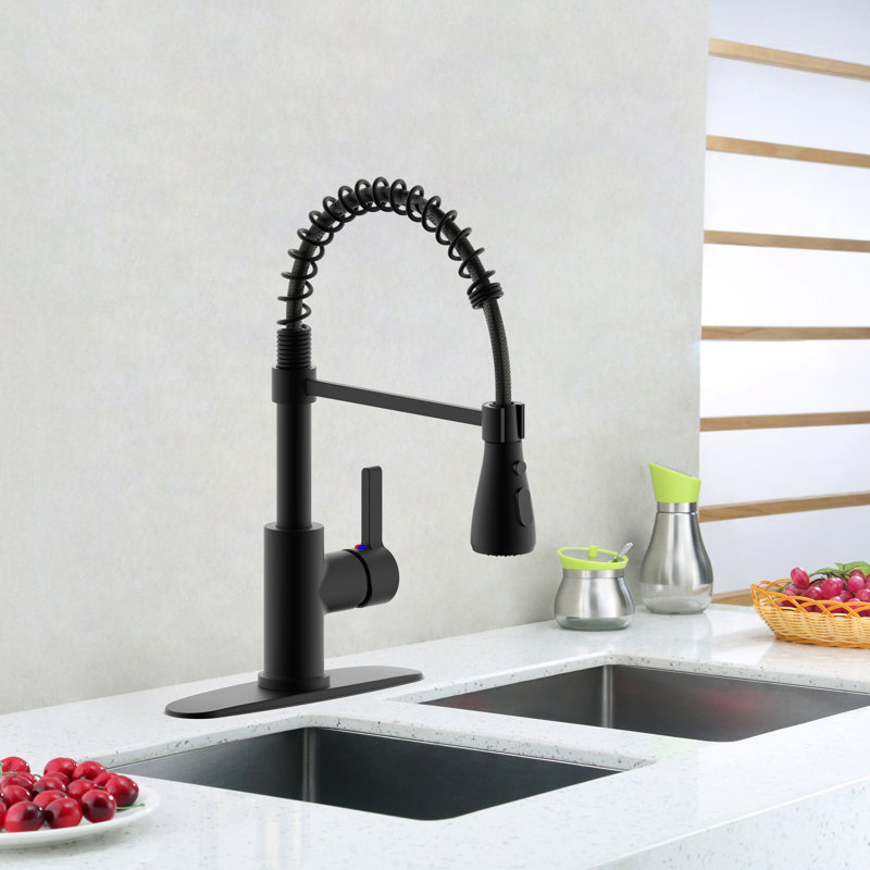 Derengge Single Handle  Spring Kitchen Faucet With Pull-Down Sprayer