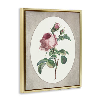 Rose rétro dans un cadre flottant ovale, design par lettré et doublé