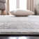 Delmer Performance Oriental Rug