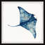 Wild Stingray by Marmont Hill - Single Picture Frame Painting-838209196