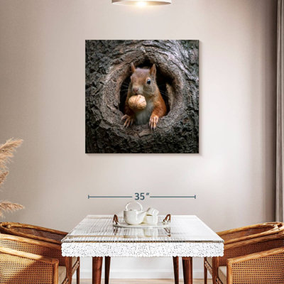 Crowle Squirrel dans un trou d'arbre
