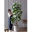 Faux arbre artificiel Magnolia-111031447