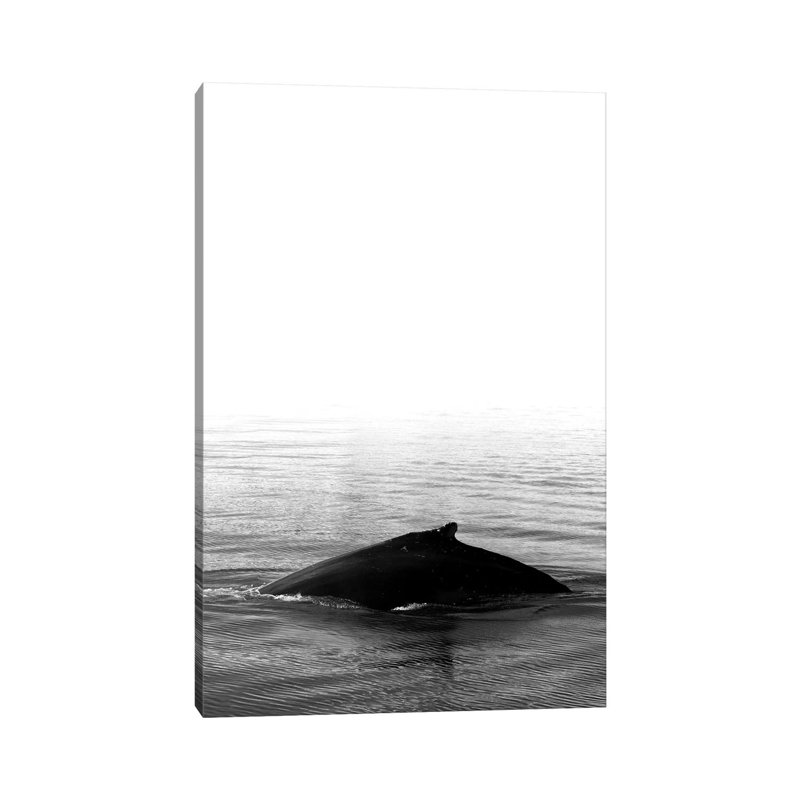 Whale Song III Black Iceland by Monika Strigel - Wrapped Canvas Print, 101.6 cm H x 66.04 cm W x 1.91 cm D