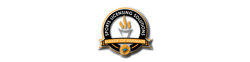 FANMATS logo
