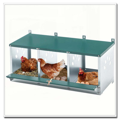 Metal Nesting Boxes for Chicken,3 Compartment Nesting Box,Galvanized steel Nesting Boxes for Hens, Easy to Assemble