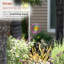 Piquet de jardin Hoder Daisy