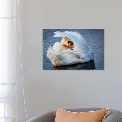 Preening by David Gardiner - Wrapped Canvas Print