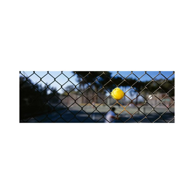 Close-up Of A Tennis Ball Stuck In A Fence, San Francisco, California, USA - Wrapped Canvas Panoramic Print