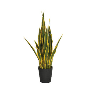 105cm Faux Snake Plant (Sansevieria) Plant in Pot