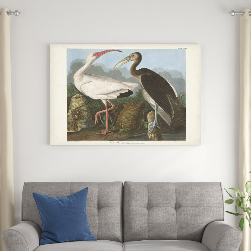 Pl 222, ibis blanc, H 32 po x l 48 po, Noir/brun/blanc
