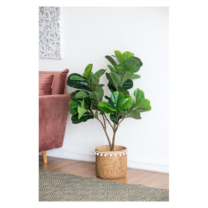 Arbre à feuilles de figuier Fiddle - 16,5 po x 21 po x H 41,5 po - vert