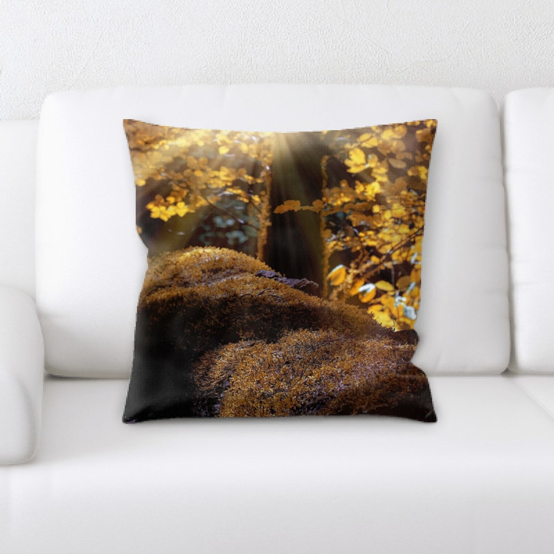 Housse et insert de coussin carré Landscape
