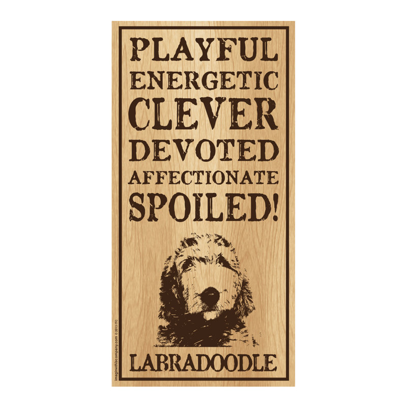 Panneau vertical en bois gâté Labradoodle