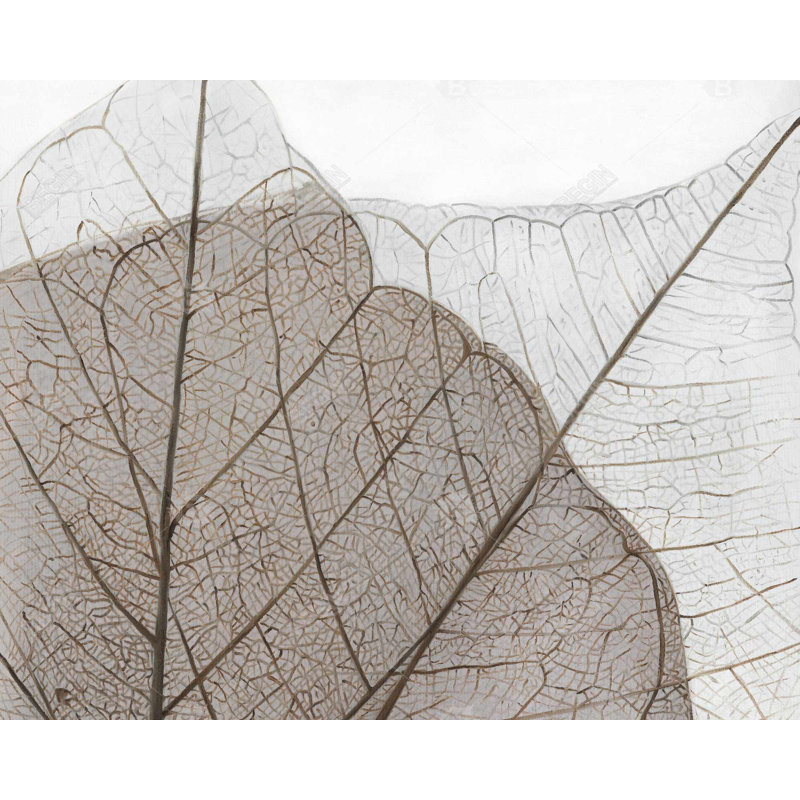 " Translucent Dried Leaves "