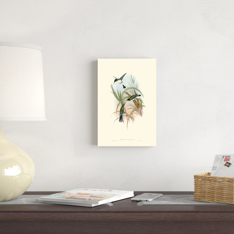 Hummingbird Delight VII, H 12 po x l 8 po x P 1,25 po