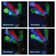 Pauli LED Lighted Window Décor